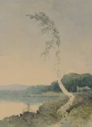 Zilveren Berk bij een Meer